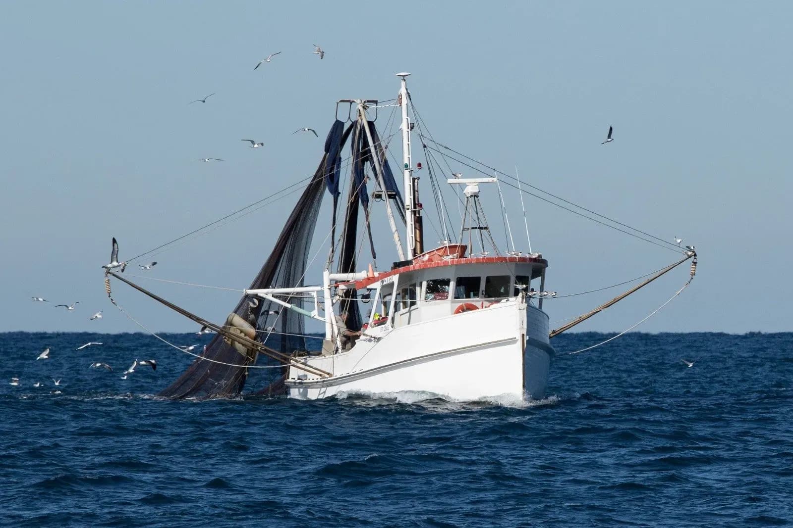 La Junta destina más de 9,5 millones de euros a ayudas para la pesca y la acuicultura andaluzas