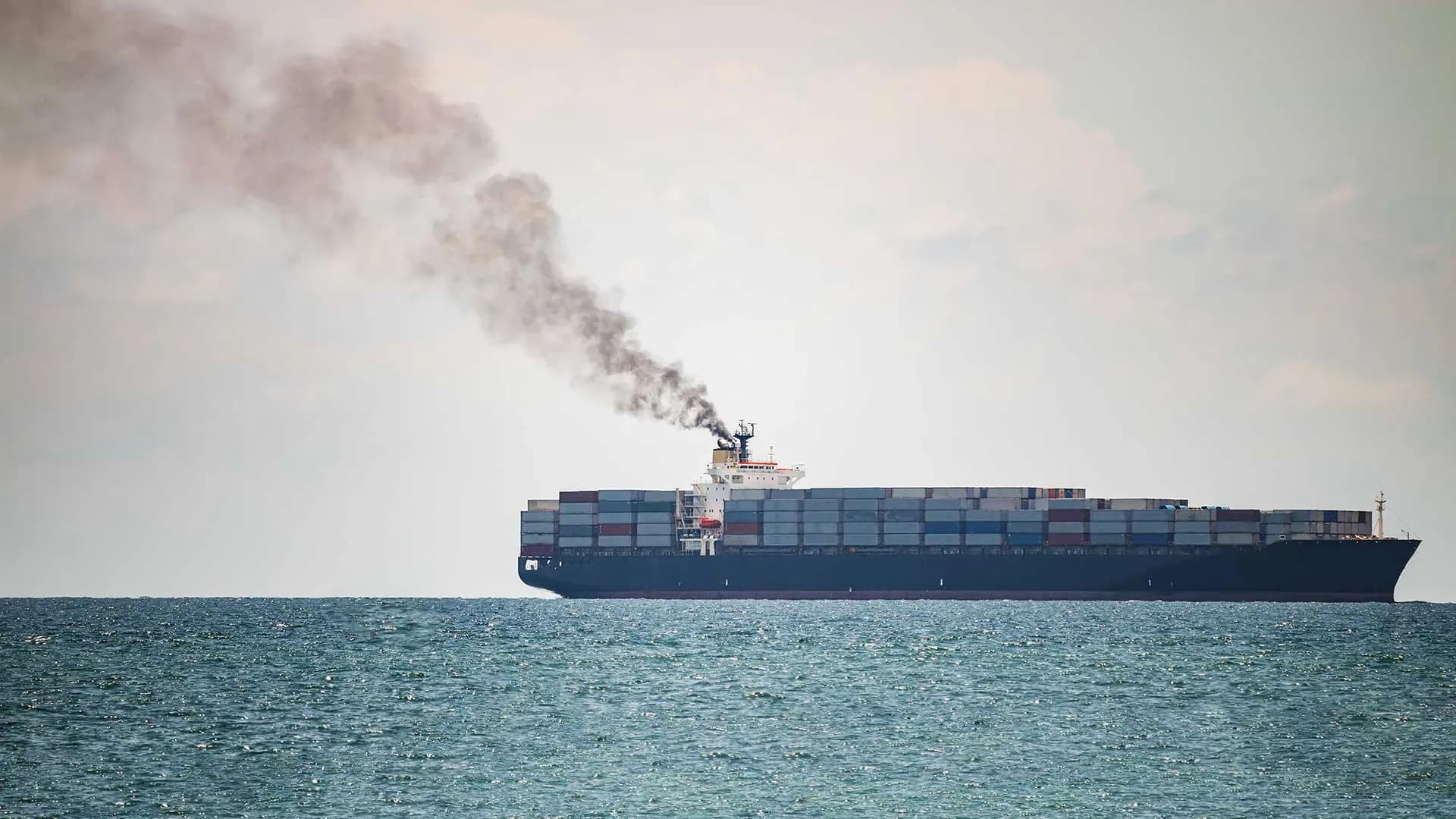 La Clean Shipping Coalition pide a la OMI mantener sin cambios el Net-Zero Framework frente a las propuestas alternativas